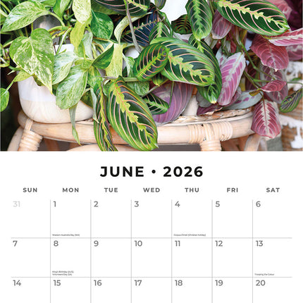 House Plants 2026 Premium Square Wall Calendar