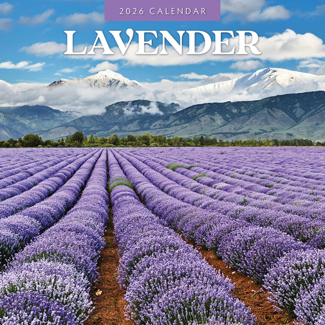 Lavender 2026 Premium Square Wall Calendar