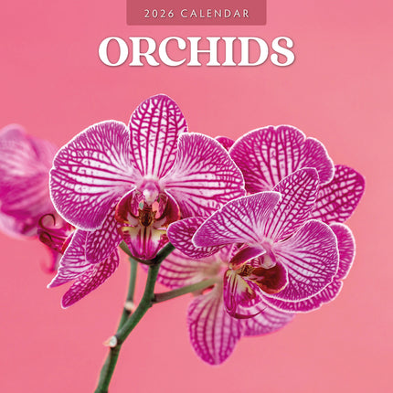 Orchids 2026 Premium Square Wall Calendar
