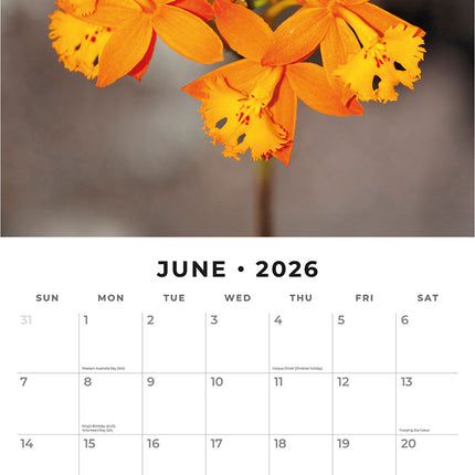 Orchids 2026 Premium Square Wall Calendar