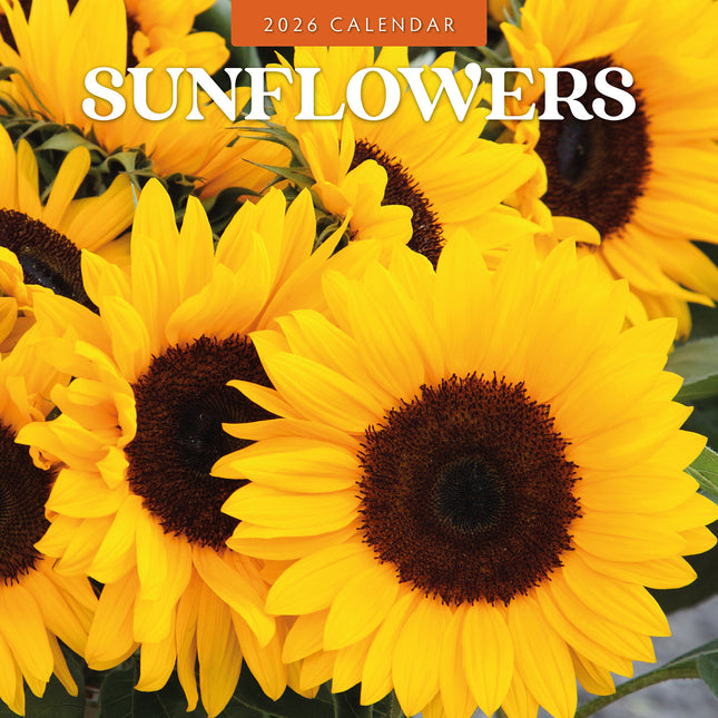 Sunflowers 2026 Premium Square Wall Calendar