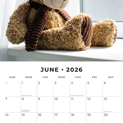 Teddy Bears 2026 Premium Square Wall Calendar