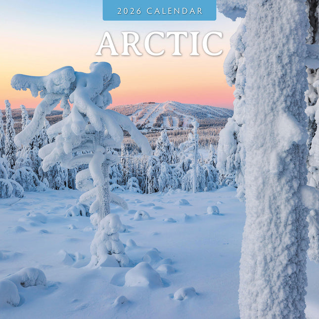 Arctic 2026 Premium Square Wall Calendar