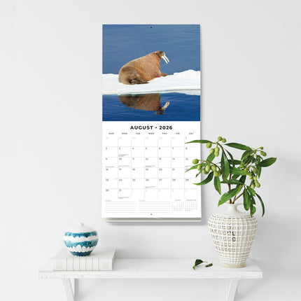 Arctic 2026 Premium Square Wall Calendar