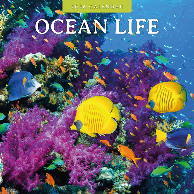 Ocean Life 2026 Premium Square Wall Calendar