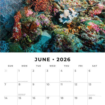 Ocean Life 2026 Premium Square Wall Calendar