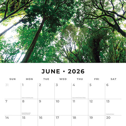 Woodland Scenes 2026 Premium Square Wall Calendar