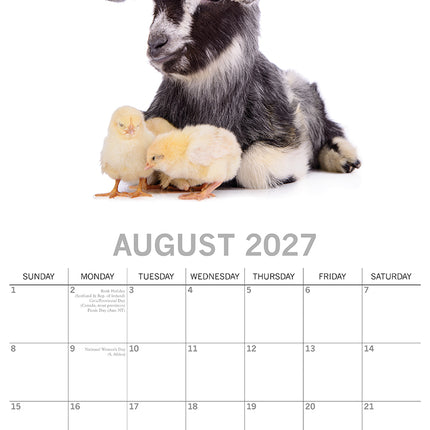 Adorable Animals 2027 Square Wall Calendar August sample page