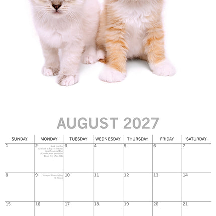 Adorable Cats 2027 Square Wall Calendar August sample page