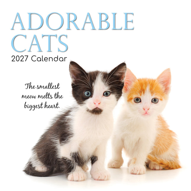 Adorable Cats 2027 Square Wall Calendar cover