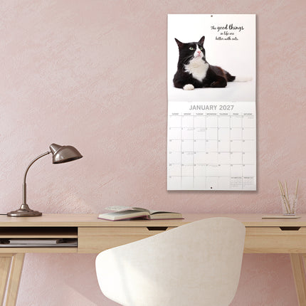 Adorable Cats 2027 Square Wall Calendar lifestyle image