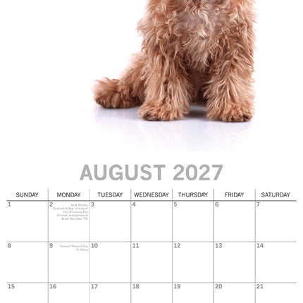 Adorable Dogs 2027 Square Wall Calendar August sample page