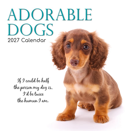 Adorable Dogs 2027 Square Wall Calendar cover