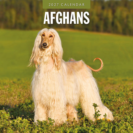 Afghans 2027 square wall calendar - front cover