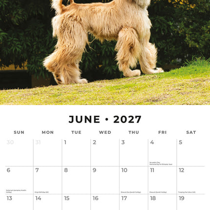 Afghans 2027 square wall calendar - monthly calendar spread