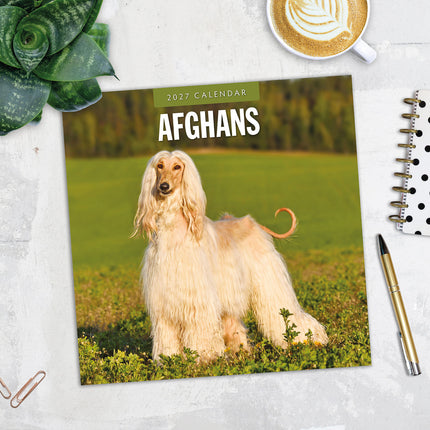 Afghans 2027 square wall calendar - image detail