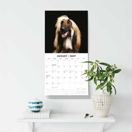 Afghans 2027 square wall calendar - wall display
