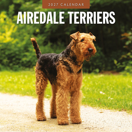 Airedale Terriers 2027 square wall calendar - front cover