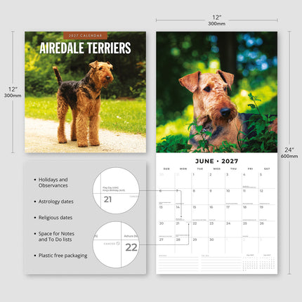 Airedale Terriers 2027 square wall calendar - product specifications