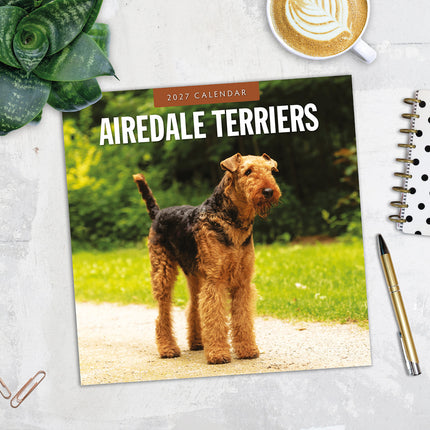 Airedale Terriers 2027 square wall calendar - image detail