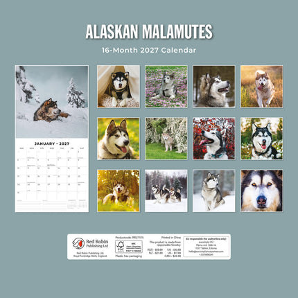 Alaskan Malamutes 2027 square wall calendar - back cover