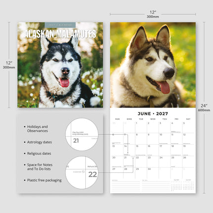 Alaskan Malamutes 2027 square wall calendar - product specifications