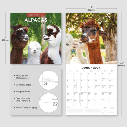 Alpacas 2027 square wall calendar - product specifications
