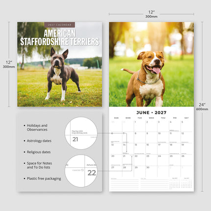American Staffordshire Terriers 2027 square wall calendar - product specifications