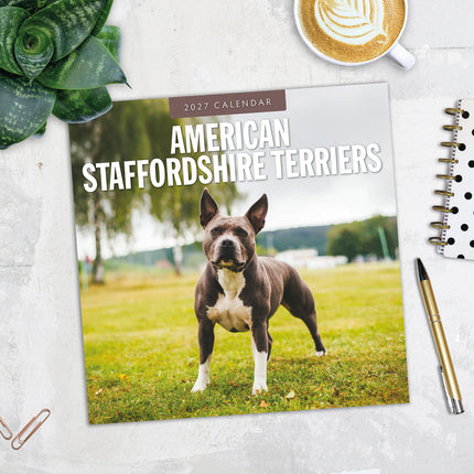American Staffordshire Terriers 2027 square wall calendar - image detail
