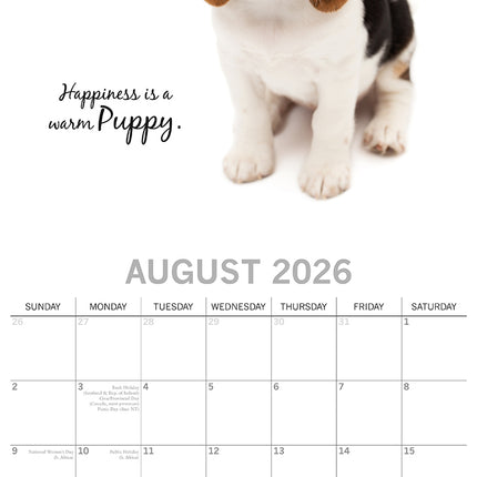 Adorable Dogs - 2026 Square Wall Calendar Pets Animals 16 Months Premium Planner