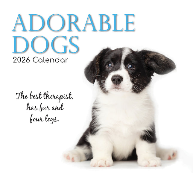 Adorable Dogs - 2026 Square Wall Calendar Pets Animals 16 Months Premium Planner