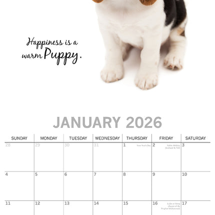 Adorable Dogs - 2026 Square Wall Calendar Pets Animals 16 Months Premium Planner