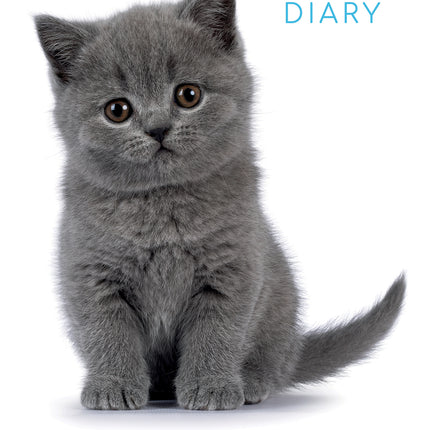 Adorable Cats 2027 A5 Padded Hard Cover Diary cover