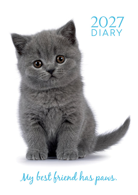 Adorable Cats 2027 A5 Padded Hard Cover Diary cover