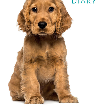 Adorable Dogs 2027 A5 Padded Hard Cover Diary cover