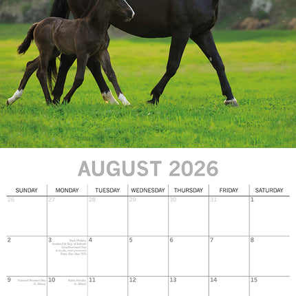Baby Animals - 2026 Square Wall Calendar Pets Animals 16 Months Premium Planner