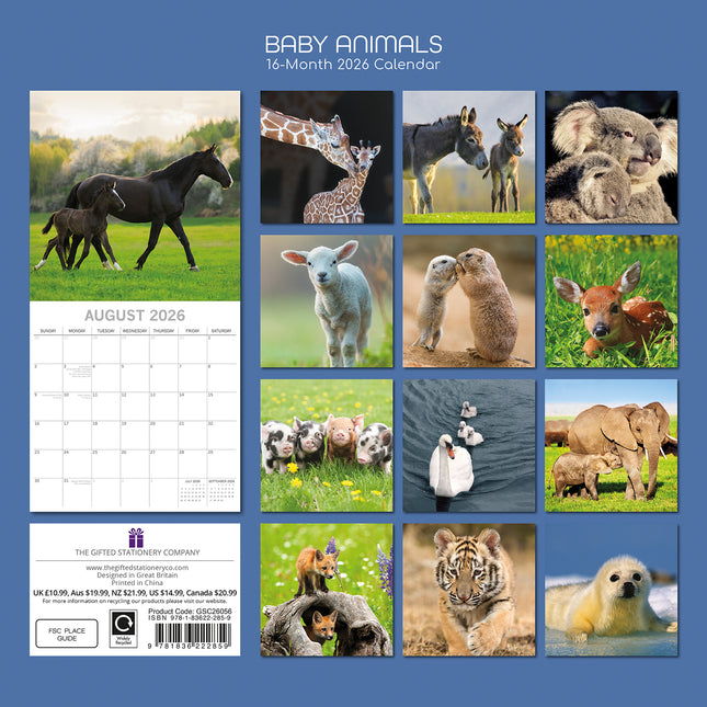 Baby Animals - 2026 Square Wall Calendar Pets Animals 16 Months Premium Planner