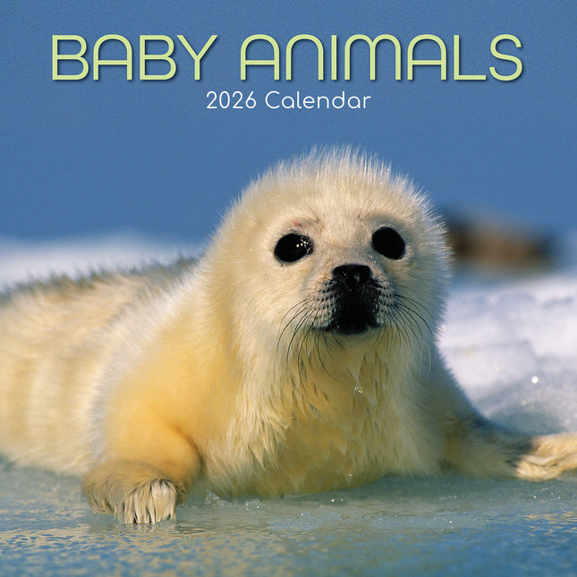 Baby Animals - 2026 Square Wall Calendar Pets Animals 16 Months Premium Planner