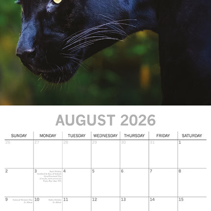 Big Cats - 2026 Square Wall Calendar Pets Animals 16 Months Premium Planner Gift