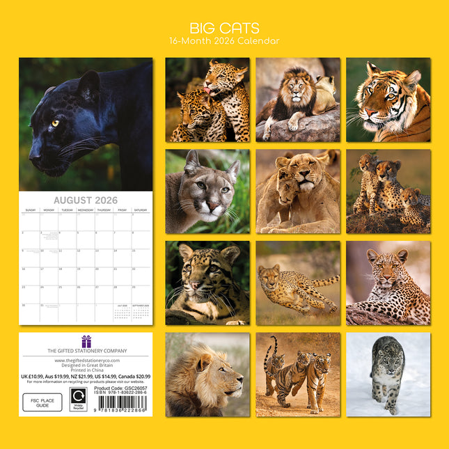 Big Cats - 2026 Square Wall Calendar Pets Animals 16 Months Premium Planner Gift