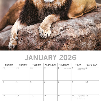 Big Cats - 2026 Square Wall Calendar Pets Animals 16 Months Premium Planner Gift