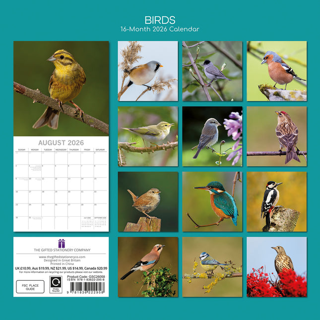 Birds - 2026 Square Wall Calendar Pets Animals 16 Months Premium Planner Gift