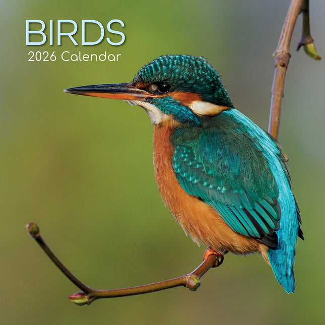 Birds - 2026 Square Wall Calendar Pets Animals 16 Months Premium Planner Gift