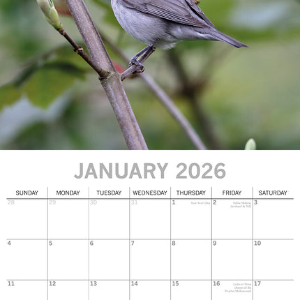 Birds - 2026 Square Wall Calendar Pets Animals 16 Months Premium Planner Gift