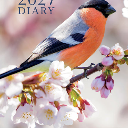 Birds 2027 A5 Padded Hard Cover Diary cover