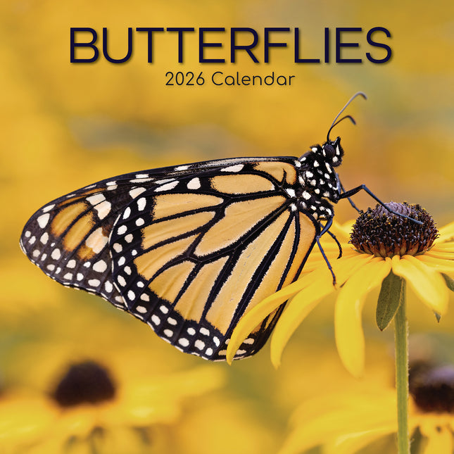 Butterflies - 2026 Square Wall Calendar Pets Animals 16 Months Premium Planner