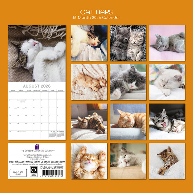 Cat Naps 2026 Rectangle Wall Calendar