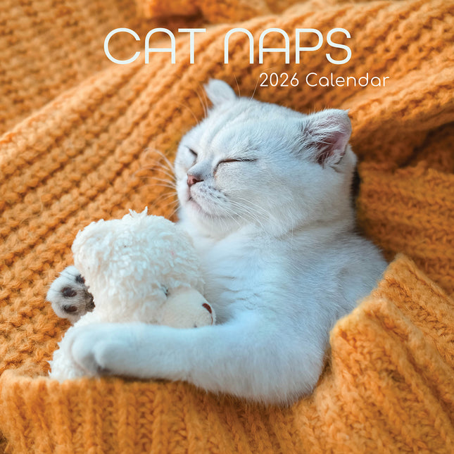 Cat Naps 2026 Rectangle Wall Calendar