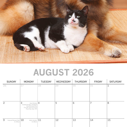 Cats & Dogs - 2026 Square Wall Calendar Pets Animals 16 Months Premium Planner