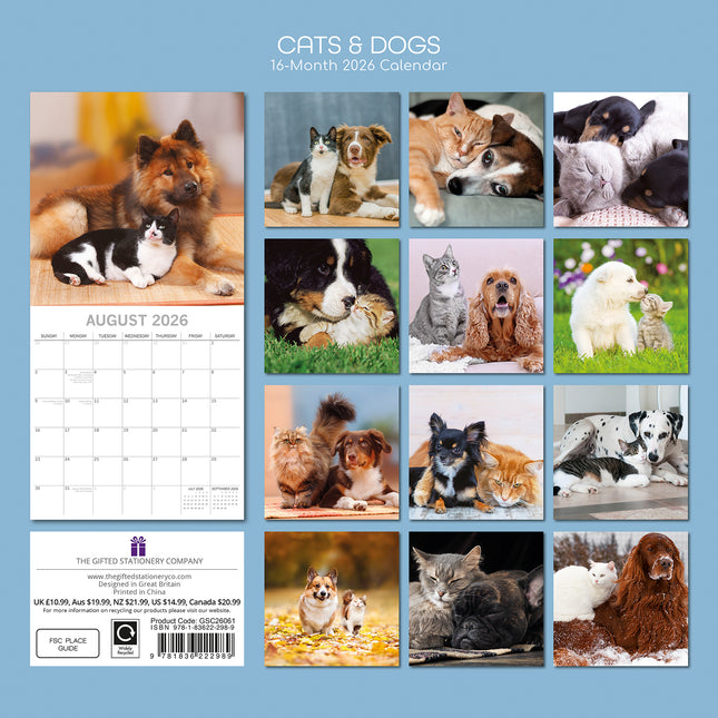 Cats & Dogs - 2026 Square Wall Calendar Pets Animals 16 Months Premium Planner